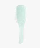 Tangle Teezer Detangling Hairbrush (Fine & Fragile) #Ice Blue